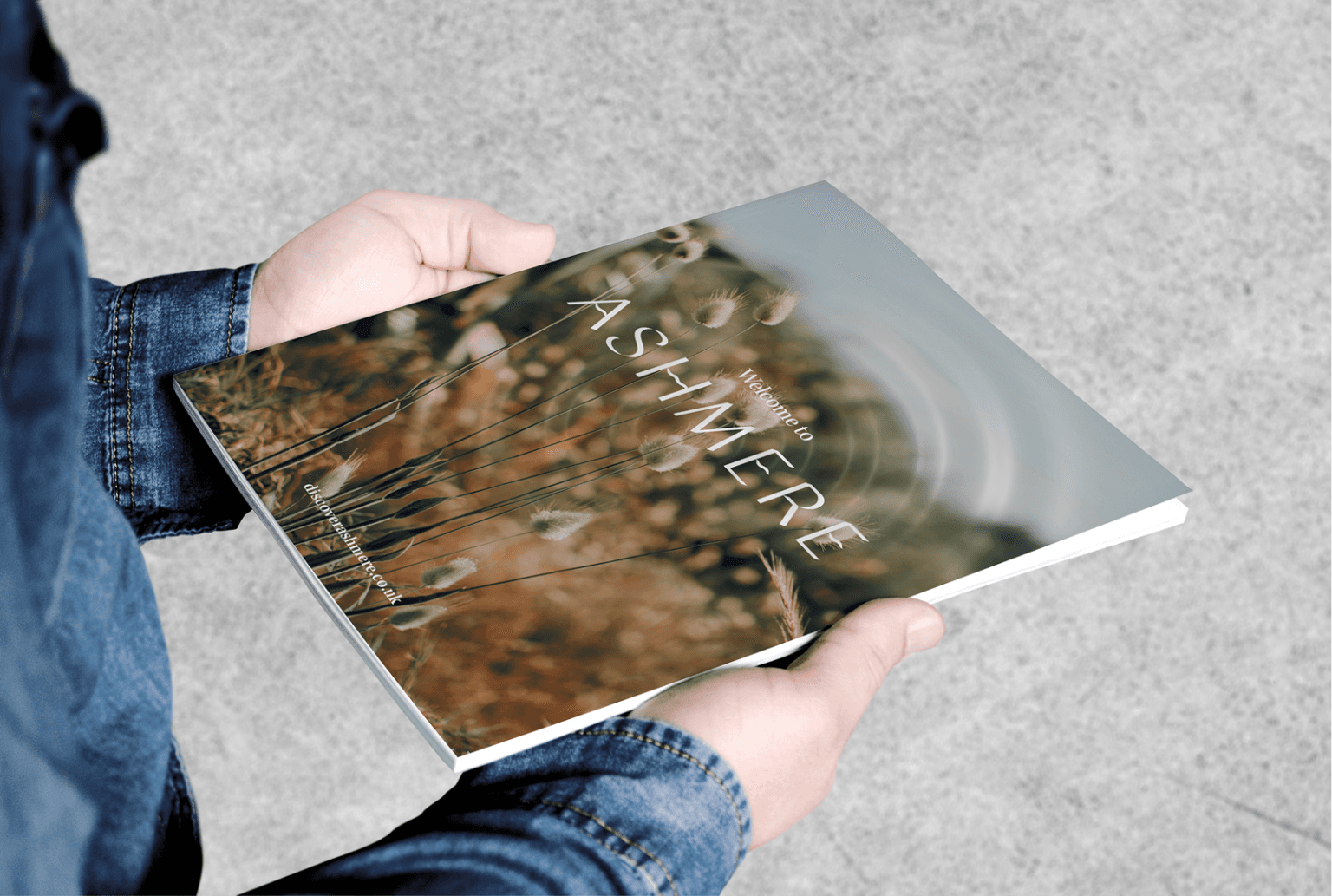 Brochure cover for Ashmere by We Are Fred
