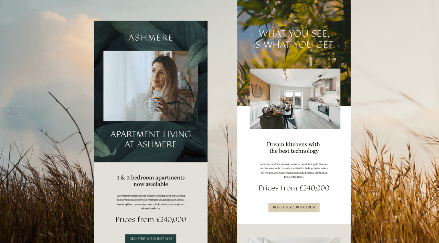 Email design for Ashmere by We Are Fred