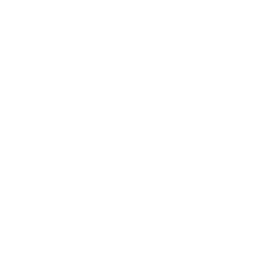 Dominus