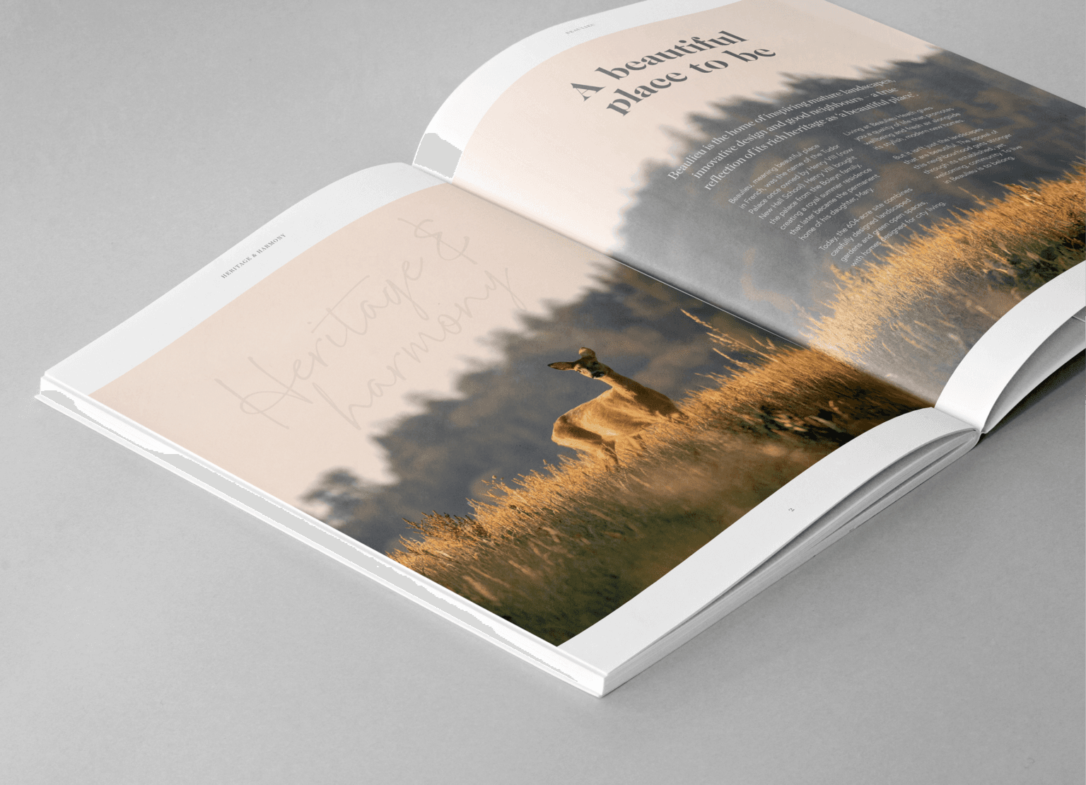 Brochure design for Beaulieu Gate by We Are Fred