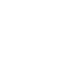 Pegasus